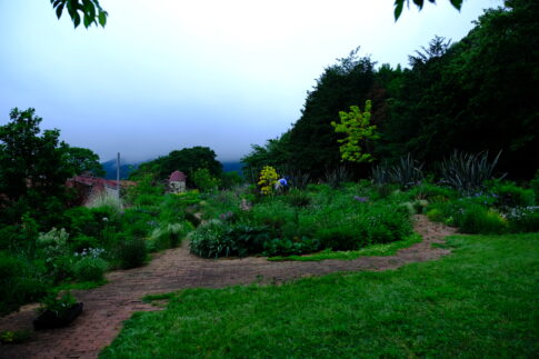 perennial garden
