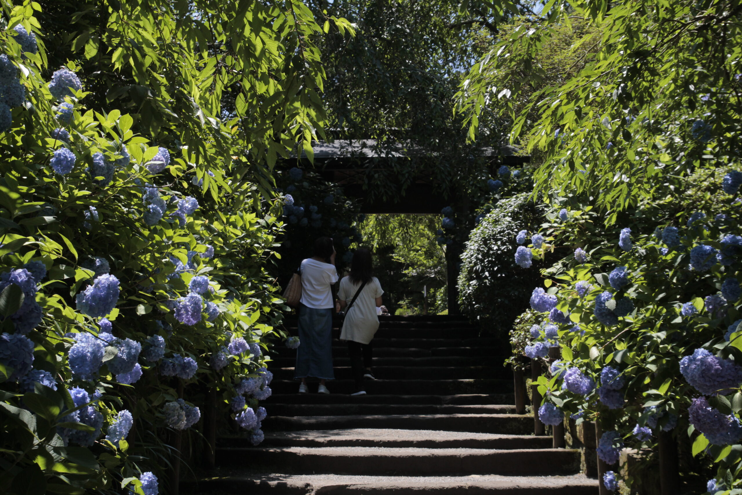 明月院