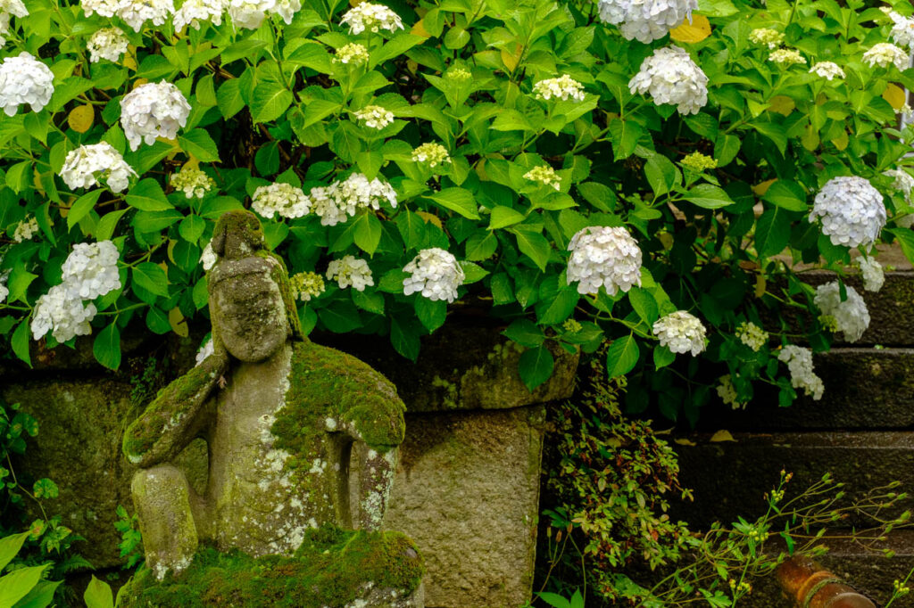 花寺吉祥寺