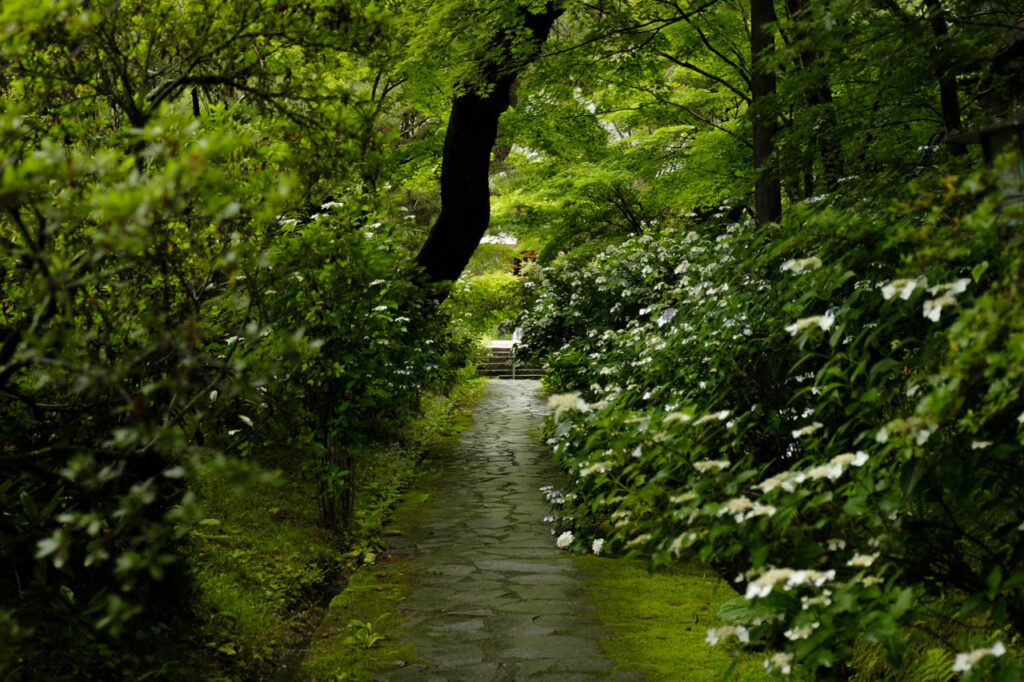 花寺吉祥寺