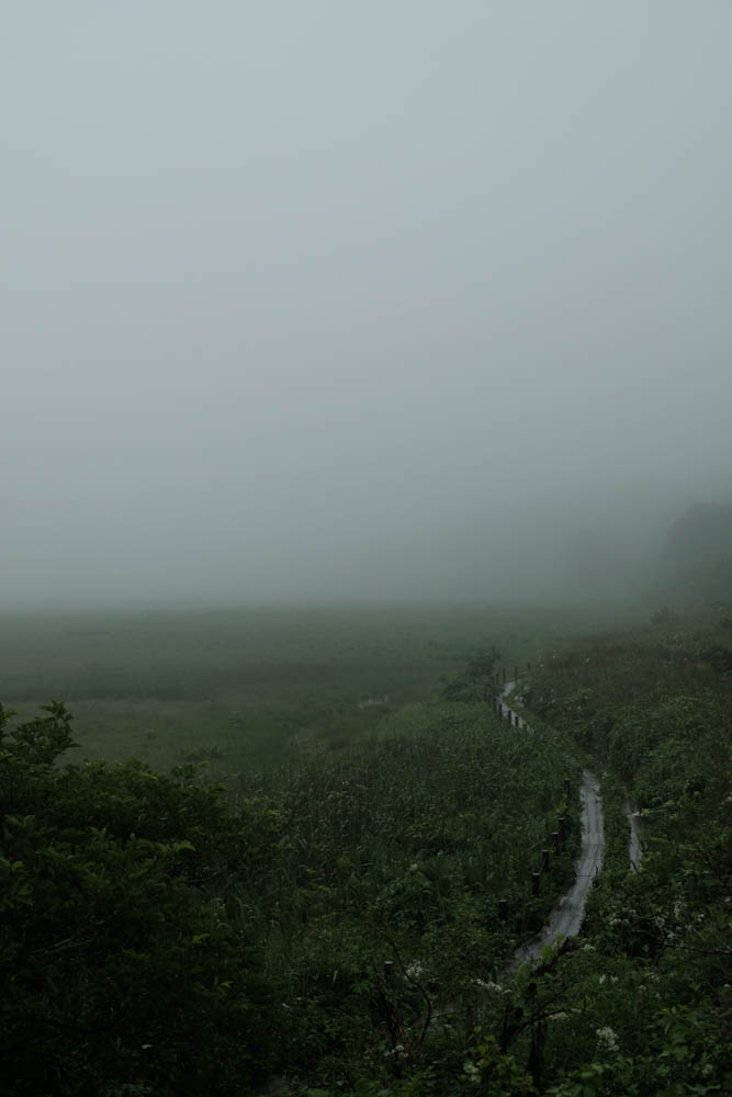 八島湿原