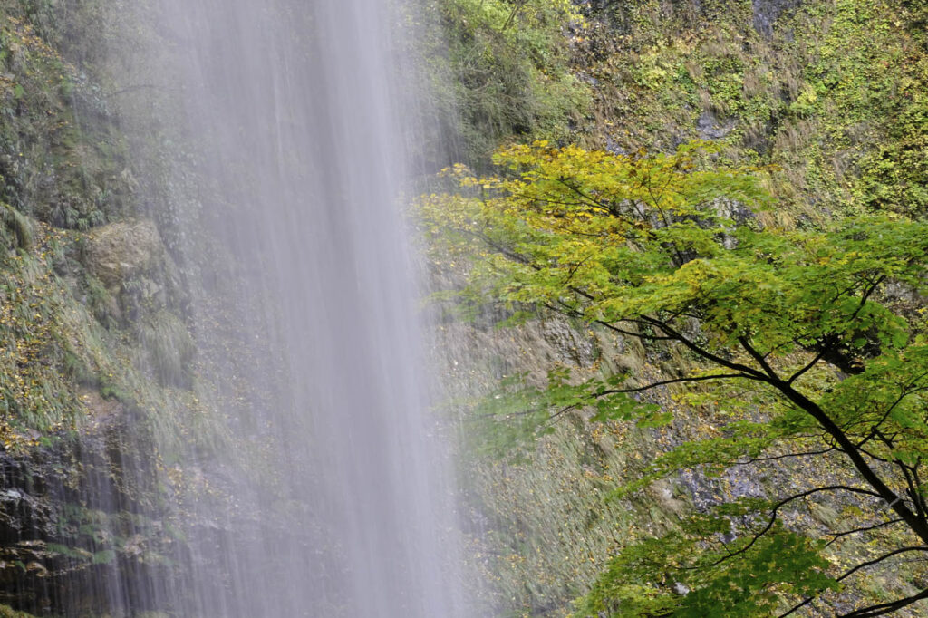 高山村