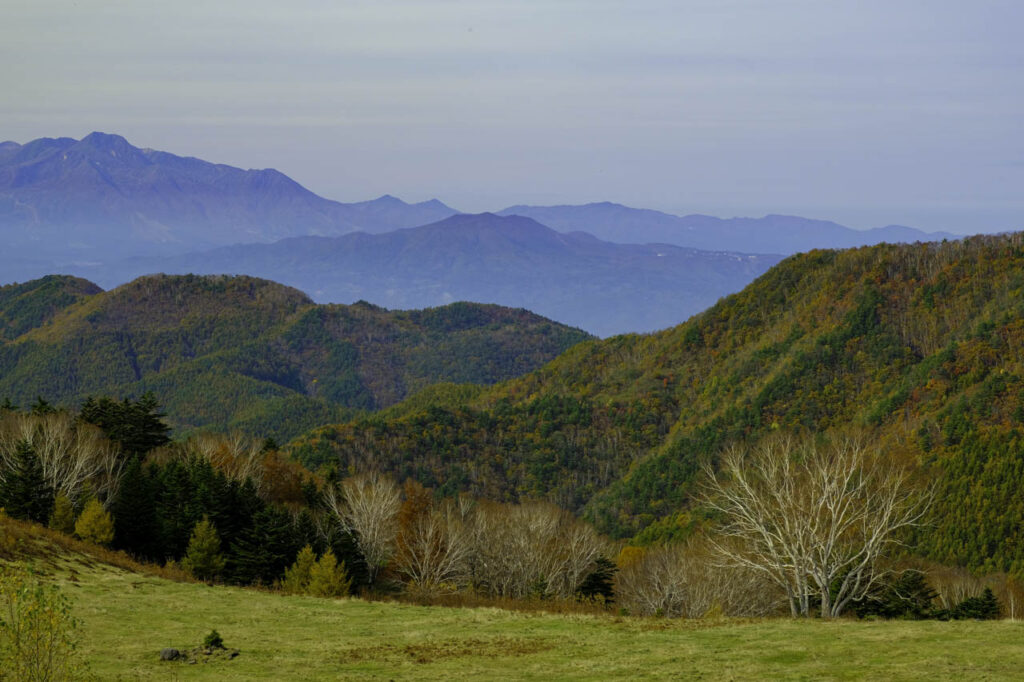 高山村