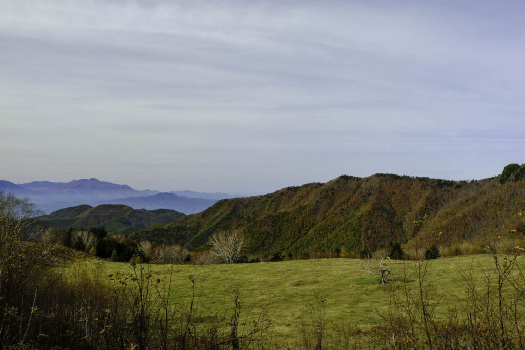 高山村