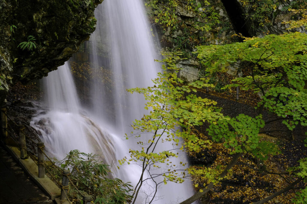 高山村