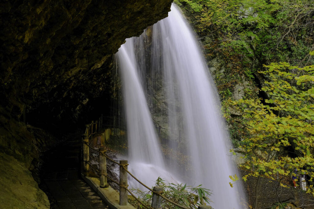 高山村