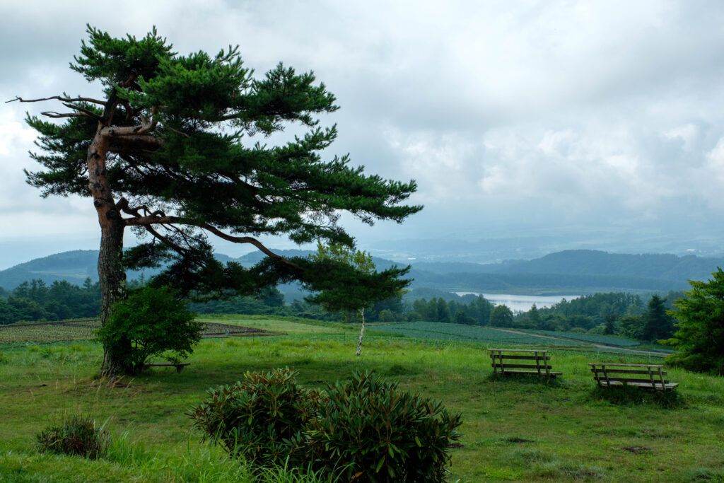 嬬恋村