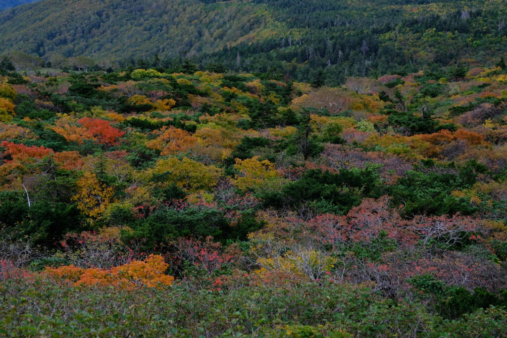 登山