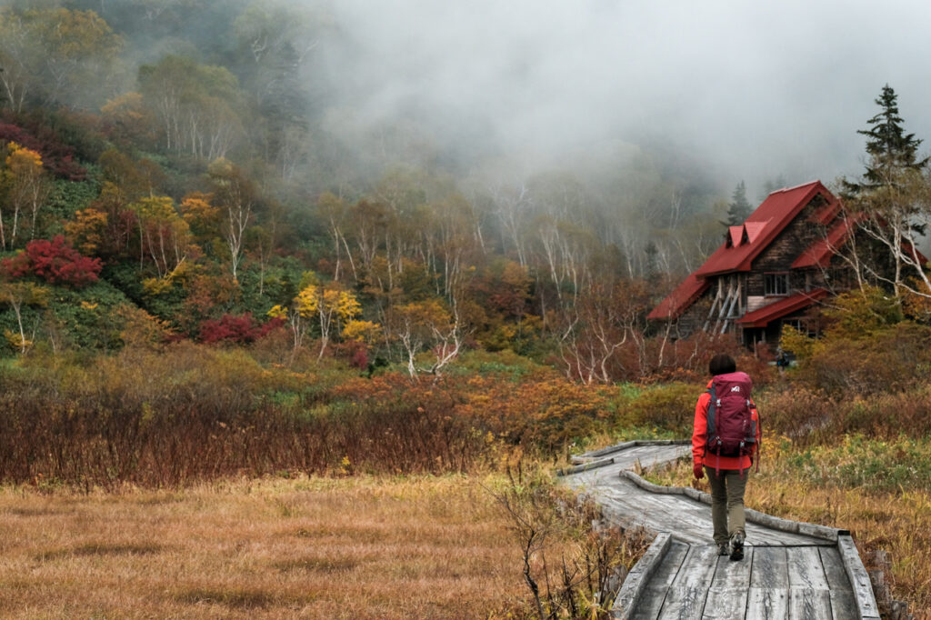 50代 夫婦 ハイキング おすすめ シューズ