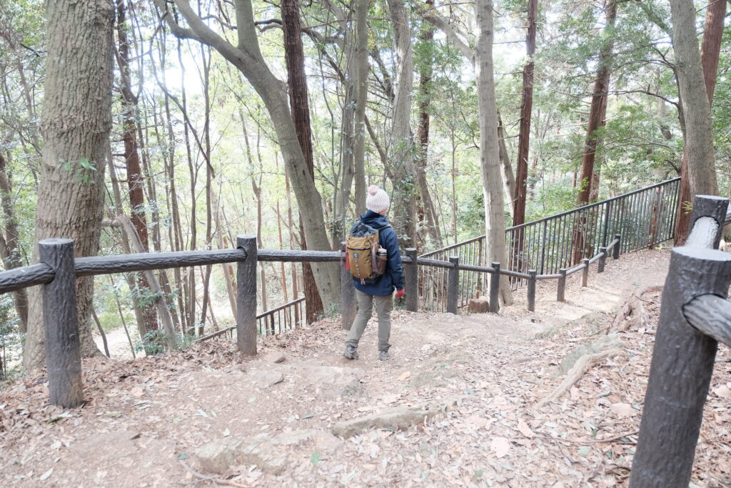 50代 ダイエット 消費カロリー