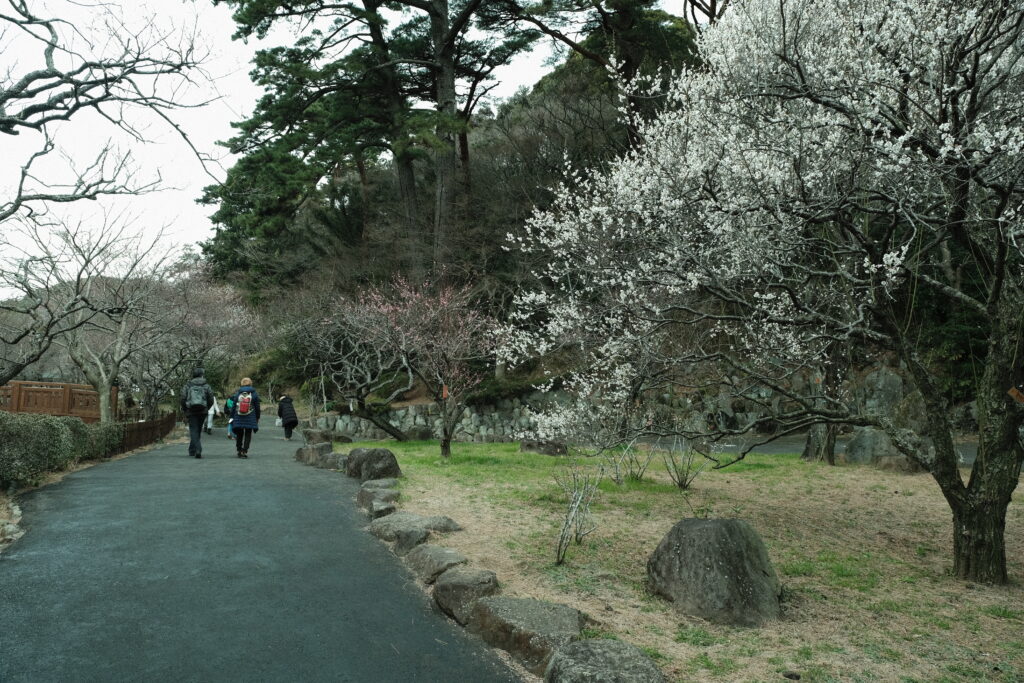 熱海梅園