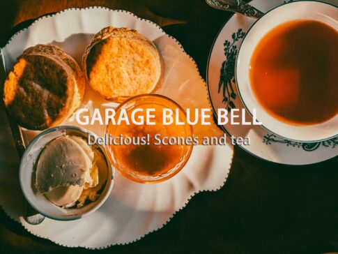 鎌倉 スコーン ブルーベル