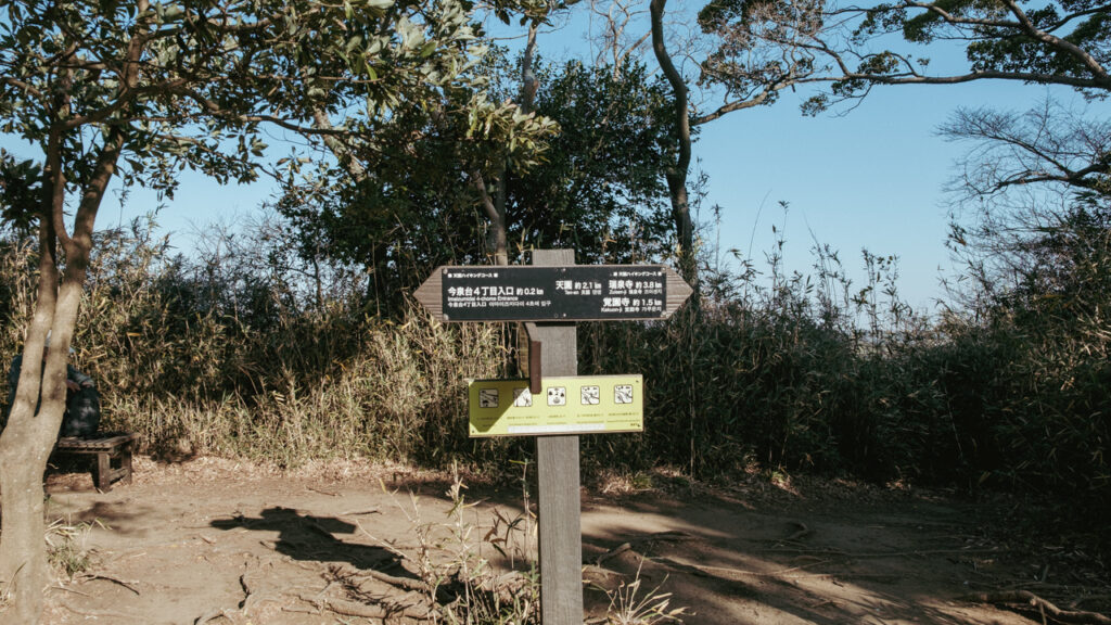 鎌倉 ガレージブルーベル スコーン