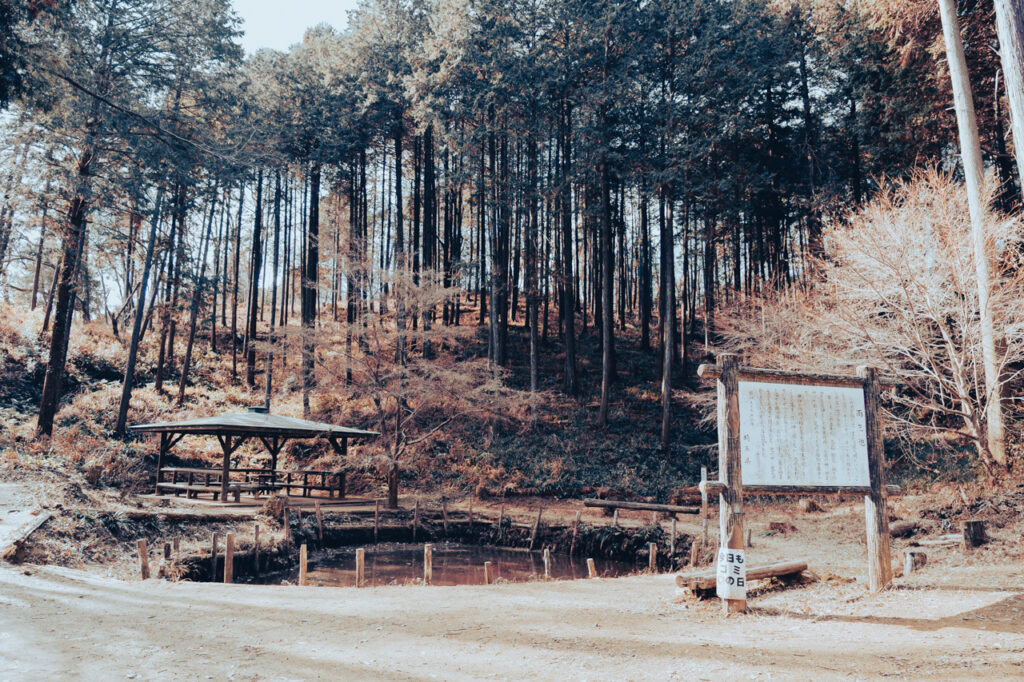 天覧山 多峯主山 ハイキング コースのガイド・50代夫婦が歩く飯能3時間ルート