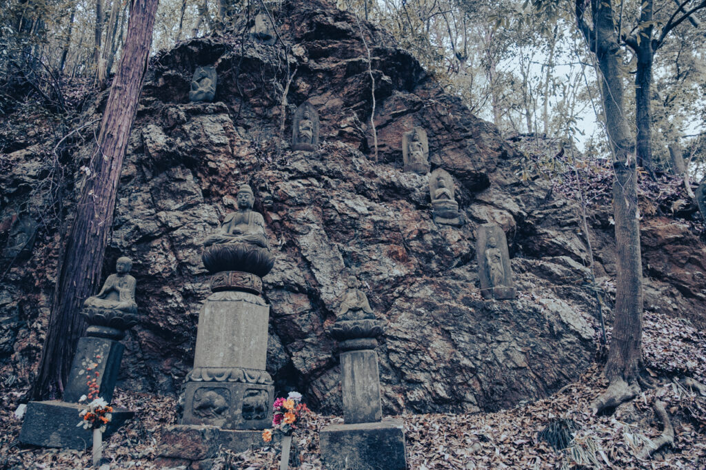 天覧山 多峯主山 ハイキング コースのガイド・50代夫婦が歩く飯能3時間ルート
