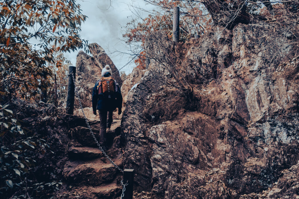 天覧山 多峯主山 ハイキング コースのガイド・50代夫婦が歩く飯能3時間ルート