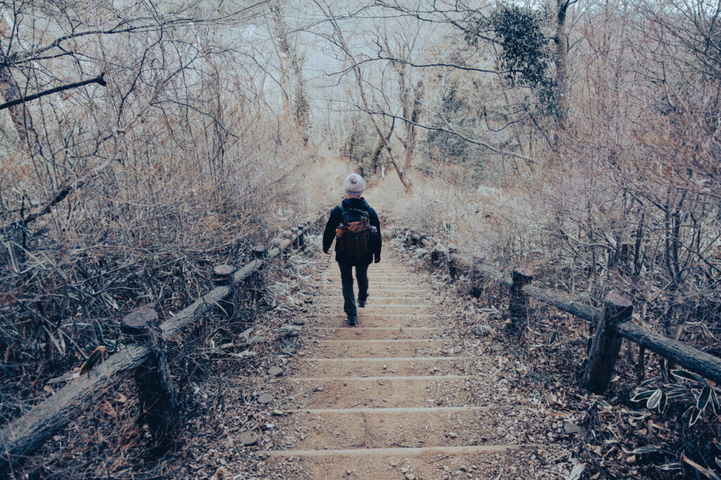 天覧山 多峯主山 ハイキング コースのガイド・50代夫婦が歩く飯能3時間ルート