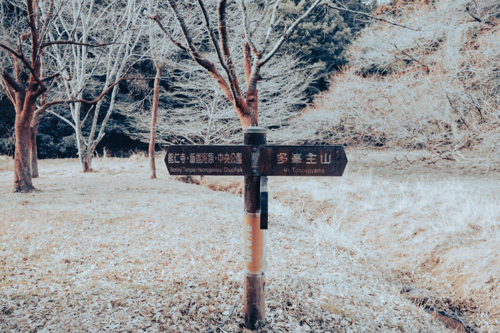 天覧山 多峯主山 ハイキング コースのガイド・50代夫婦が歩く飯能3時間ルート