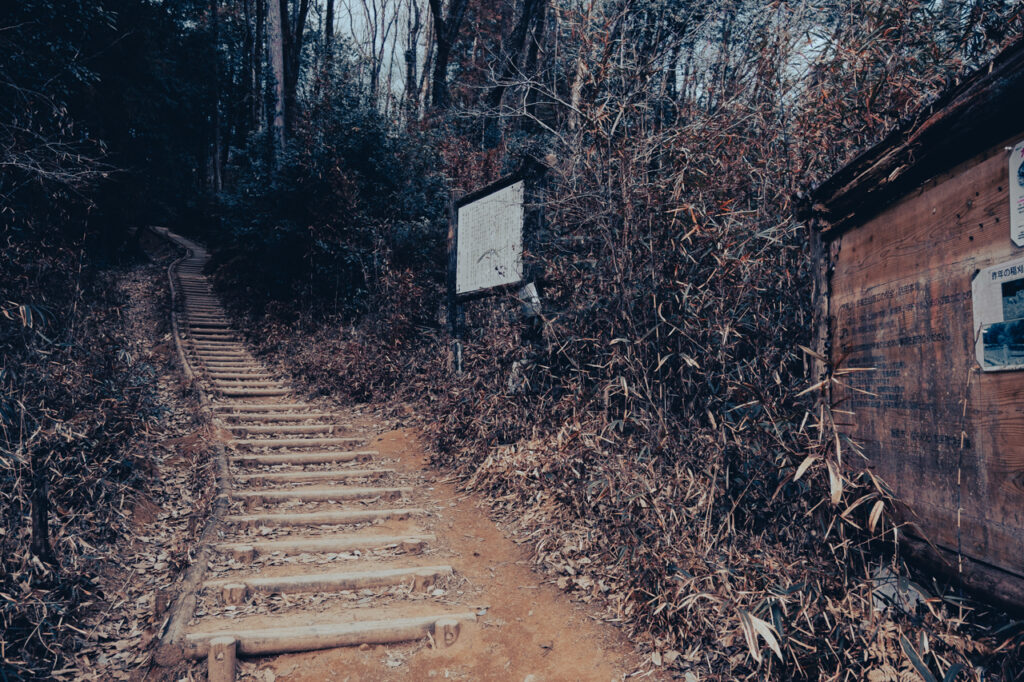 天覧山 多峯主山 ハイキング コースのガイド・50代夫婦が歩く飯能3時間ルート