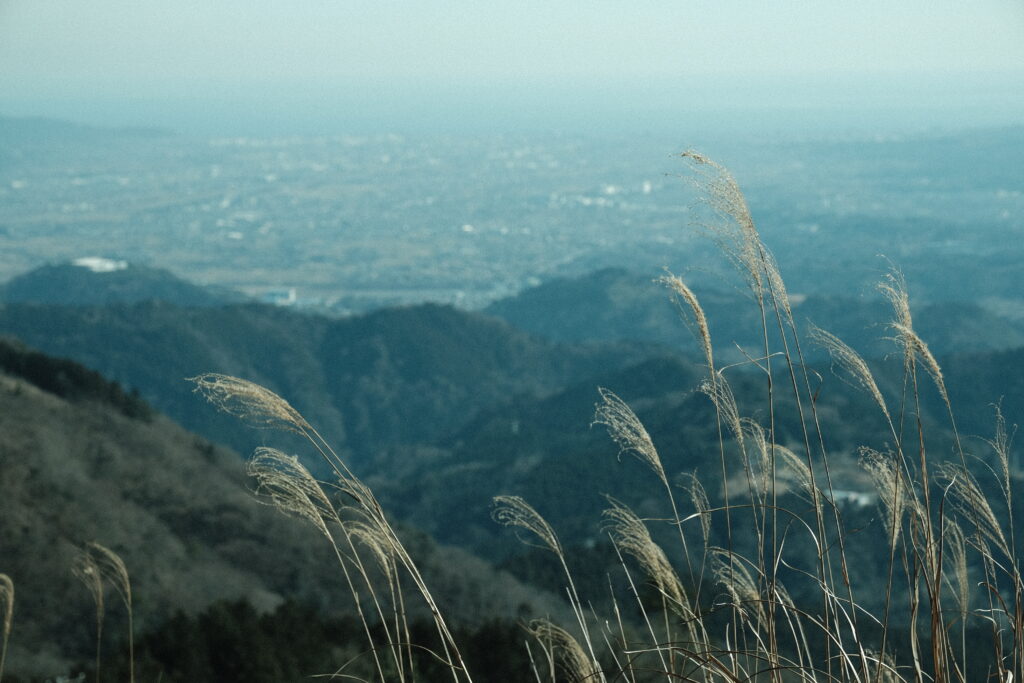 大野山 ハイキング 