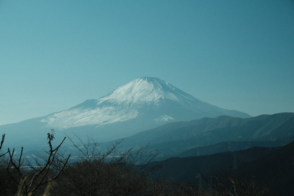大野山 ハイキング 