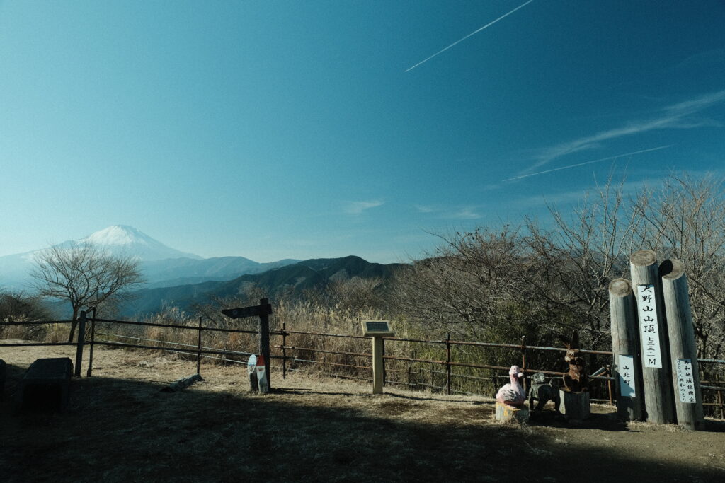 大野山 ハイキング 