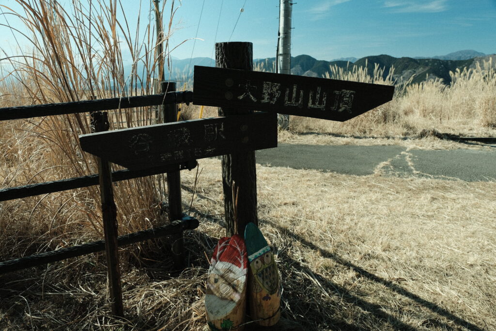 大野山 ハイキング 